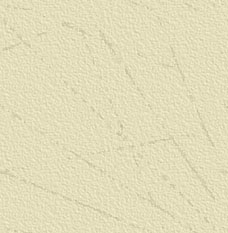 Jean Sarkozy au conseil g�n�ral des Hauts-de-Seine, apr�s son �lection comme administrateur de